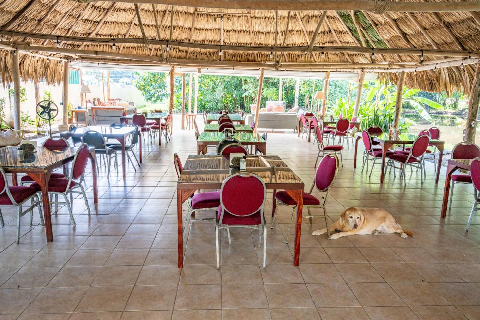 Drift Inn Cayo Santa Elena Bagian luar foto